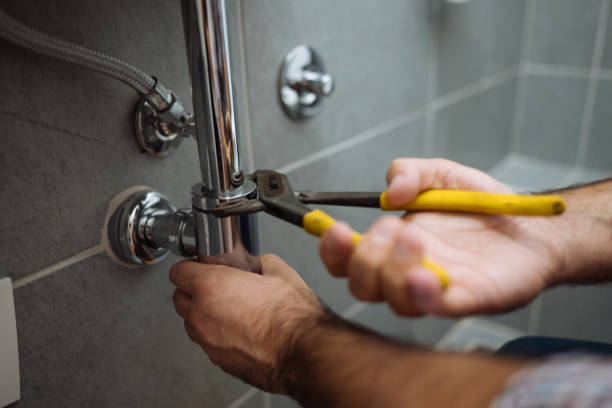 Professional Plumbing services in Ladera, CA